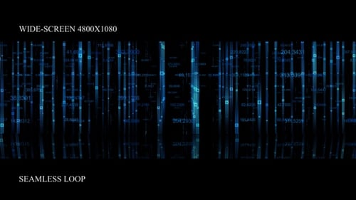 Digital Stream Widescreen