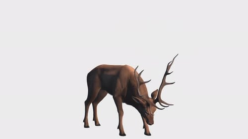 Nahtlose Loop-Animation mit Hirsch oder Hirsch. 3D-Rendering mit Alphakanal