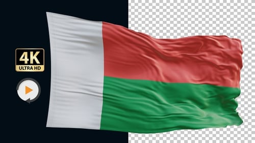Realistic Waving Madagascar Flag Animation Loop