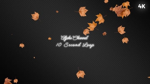 Autumn Leaves Falling