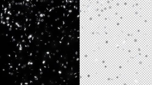Sparkling Snowfall Winter Overlay with Alpha Channel
