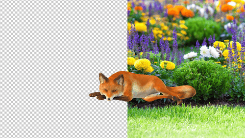 Two Fox Stood Up Idle