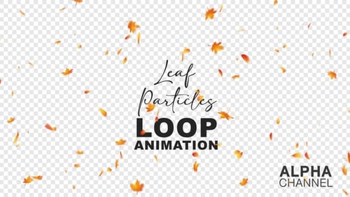 Falling Autumn Maple Leaves with Alpha Channel