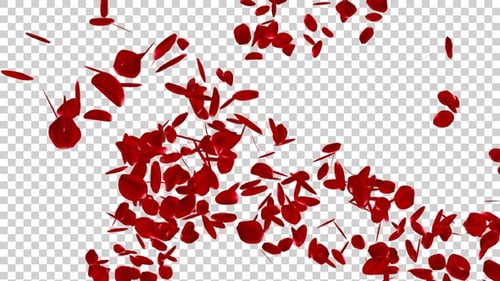 Rose Petals Spiral