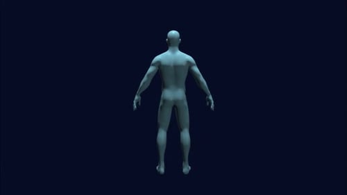 Rotating 3D Human Body Scan for Science and Health