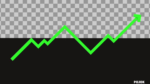 Animated Line Graph Revealing Business Progress