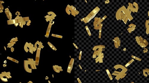 Golden Turkish Lira Currency Flying Loop V4