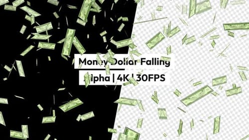 Money Falling Animation Alpha Channel