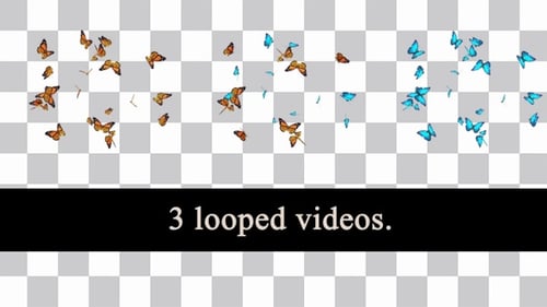 Schmetterlings-Loops-Paket