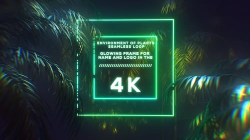 Neon Glowing Square Frames Tropical Jungle Background Loop