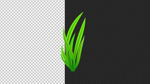 Animated Green Grass Growth with Transparent Background