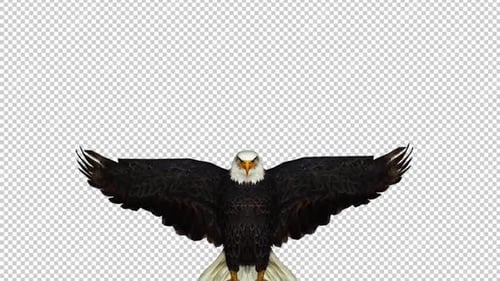Eagle Landing Front View