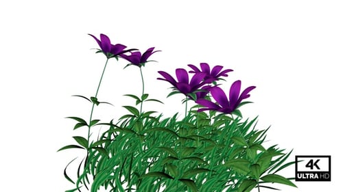 Animated Purple Flowers and Green Grass Nature Element