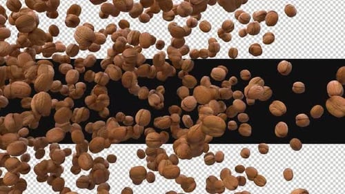 Flying 3D Walnut