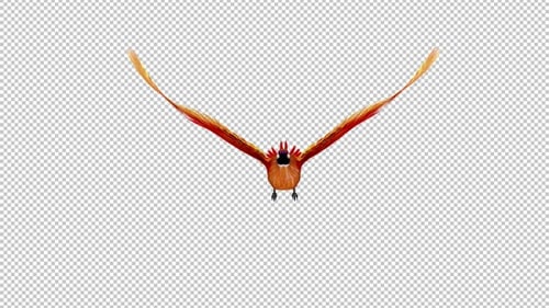 Phoenix Bird - Hot Red - Flying Loop - Vorderansicht - Alpha-Kanal