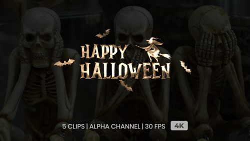 Metallic Happy Halloween Text Animation with Witch and Bats