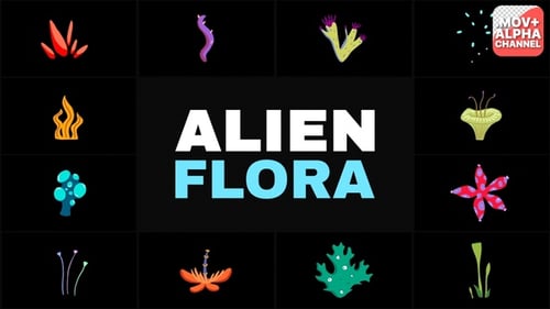 Alien Flora | Motion Graphics