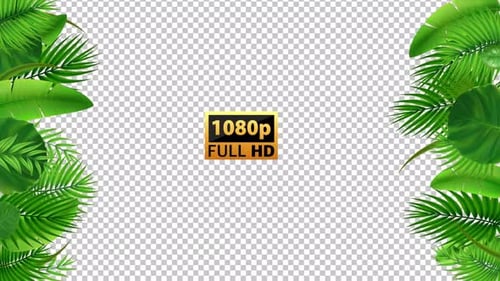 Tropical Background New | Alpha Channel