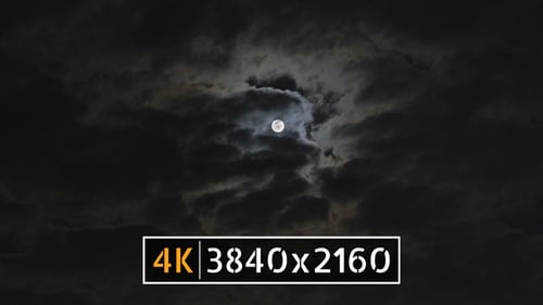 Moon