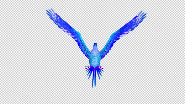 Phoenix Bird - Cyan Blue - Flying Loop - Back View , Bugs Motion ...