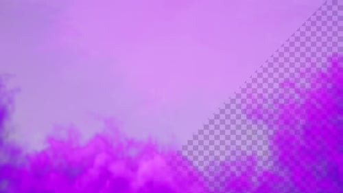 Fluid Purple Smoke Reveal Transition