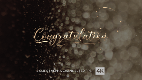 Elegant Metallic Congratulation Text Reveal Animation