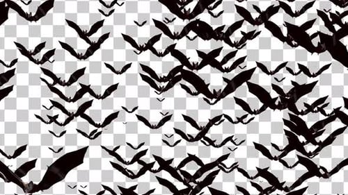 Realistic Flying Bat Swarm Halloween Animated Overlay