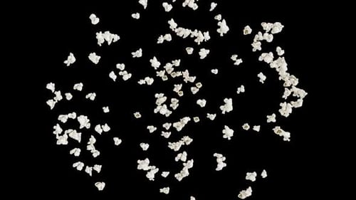 Popcorn Burst 4 Clip with Alpha