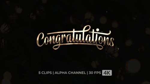 Five Animated Metallic Congratulations Text Reveals