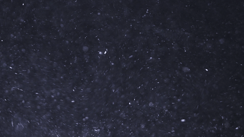 Floating Particles on a Black Background Overlay