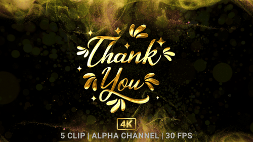Shiny Gold Decorative Thank You Text Reveal Animation
