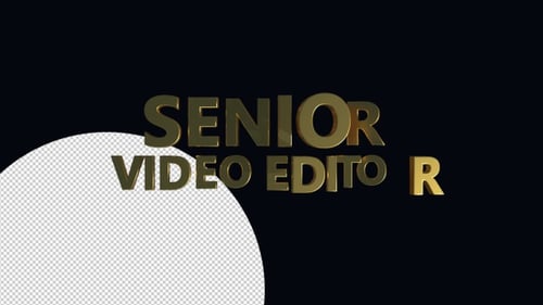 Senior Video Editor