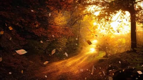 Falling Autumn Leaves Seamless Loop Overlay