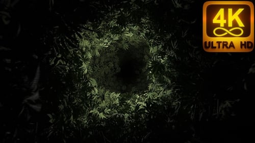 Moving inside a Weed Tunnel Trippy animation high culture Marijuana day 420 Psychedelic visuals 3d