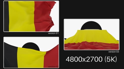 Belgium Flag Fabric Reveal Transitions