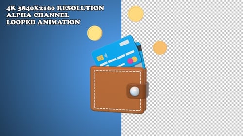 Wallet Cards Coins Hq