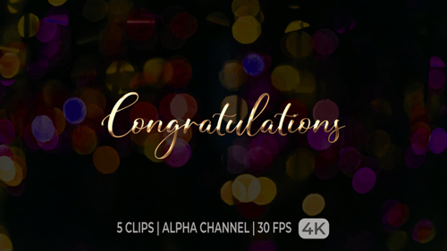 Elegant Congratulations Calligraphy Reveal with Sparkle Effects