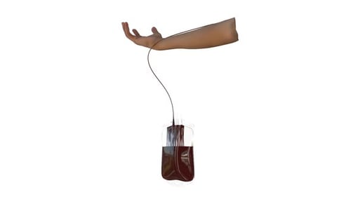 Realistic 3D Blood Donation Process Animation