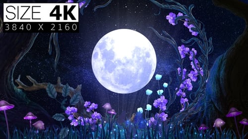 Magical Night Forest with Glowing Moon and Fantasy Flora