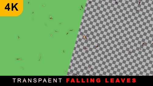 Natural Falling Leaves Alpha Channel Overlay