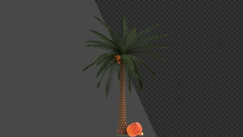 Animation 3D de l'huile de palme | Alpha Channel