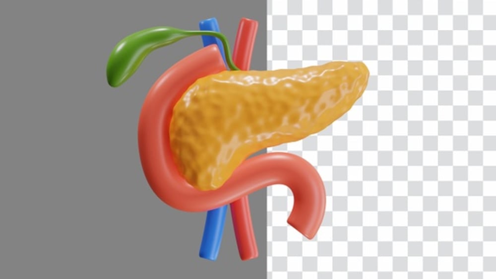 3D Animation of Pancreas, Backgrounds Motion Graphics ft. insulin ...