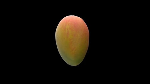 Ripe Mango Rotating
