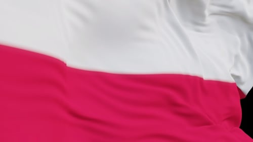 The Poland with alpha channel waving in the wind in slow motion