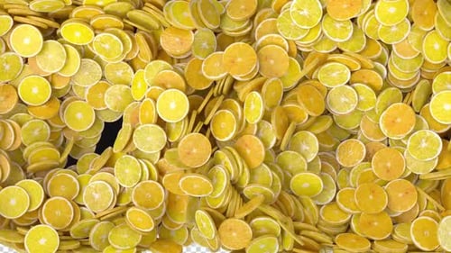 Animated Citrus Slices Bursting Open Transition