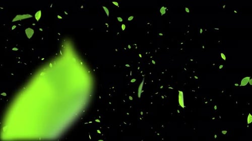 Nature green view of green leaf greenery summer .