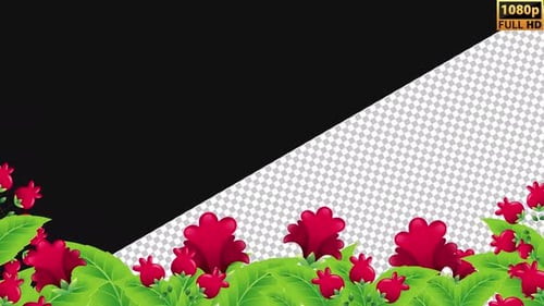 Flower Background New | Alpha Channel