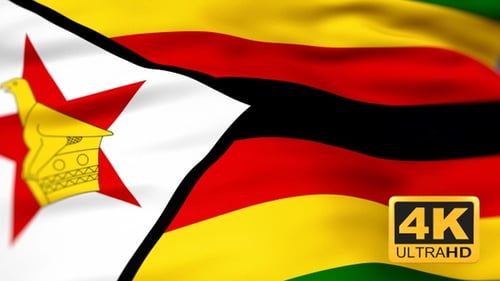 Realistic Waving Zimbabwe National Flag Loop