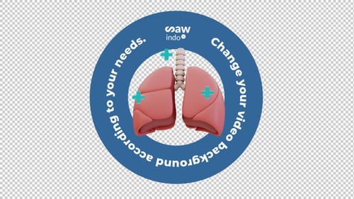 3d Animation Healty Lungs - Transparent Background Loop