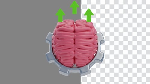 Animação 3D da neuroplasticidade cerebral | Alpha Channel